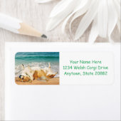 Entspannen Sie sich am Strand in Walisisch Corgi (Insitu)