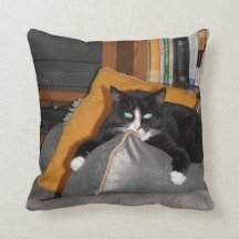 Entspannen Sie sich eine Katze