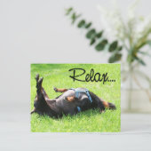 Entspannen Sie sich gut - Dackel - Hoover Postkarte (Stehend Vorderseite)