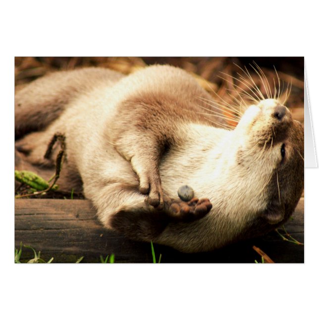 Entspannen Sie sich und genießen Sie! (Vorderseite (Horizontal))