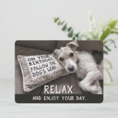 Entspannen Sie sich, wie Hunde glückliche Geburtst Karte (Stehend Vorderseite)