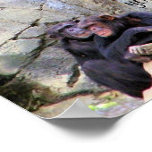 Entspannen und Liebe_ Poster (Ecke)