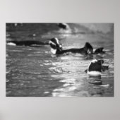 Entspannend Poster (Vorne)