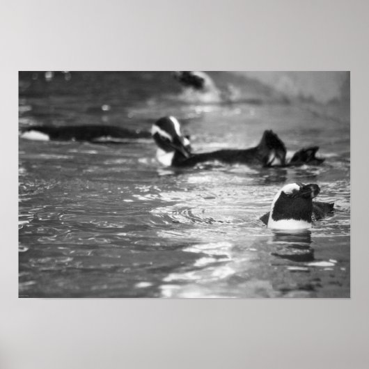 Entspannend Poster (Vorne)