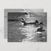 Entspannend Postkarte (Vorne/Hinten)