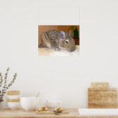 Entspannende Degu Print Poster (Küche)