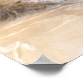 Entspannende Degu Print Poster (Ecke)