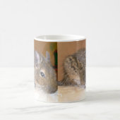 Entspannende Degu-Tasse Kaffeetasse (Mittel)