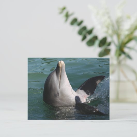Entspannende Delphine Postkarte (Stehend Vorderseite)