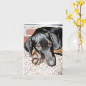 Entspannende Doberman Pinscher-Welpe - leere Note  Karte (Gelbe Blume)