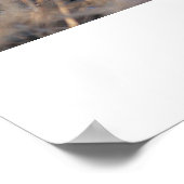Entspannende Geparden Poster (Ecke)