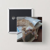 Entspannende Miezekatze Button (Vorne & Hinten)