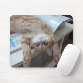 Entspannende Miezekatze Mousepad (Mit Mouse)
