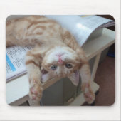 Entspannende Miezekatze Mousepad (Vorne)