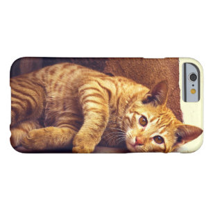 Entspannende orange Tabby-Katze Barely There iPhone 6 Hülle