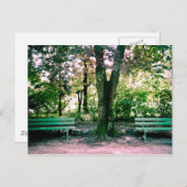 Entspannende Postkarte (Vorne/Hinten)