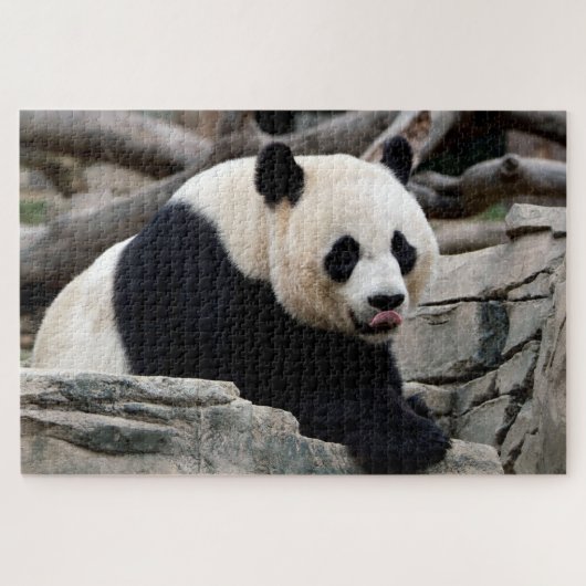 Entspannende Riesenpanda, Jigsaw Puzzle (Horizontal)
