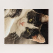 Entspannende Schwarz-Weiß-Katze Puzzle (Horizontal)