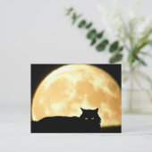 Entspannende schwarze Katze und Vollmond Postkarte (Stehend Vorderseite)