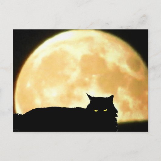 Entspannende schwarze Katze und Vollmond Postkarte (Vorderseite)