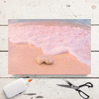 Entspannende Strand mit Muscheln Cayman Islands Seidenpapier