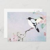 Entspannende Vögel ~ Postkarten (Vorne/Hinten)