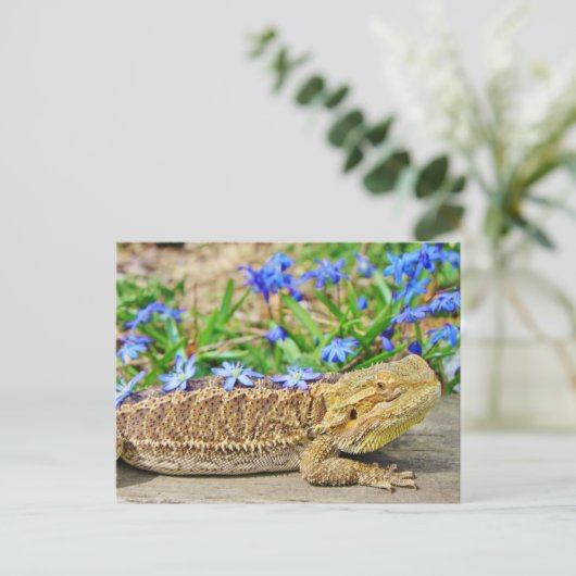 Entspannender bärtiger Drache Postkarte (Stehend Vorderseite)