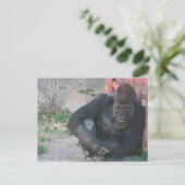 Entspannender Gorilla Postkarte (Stehend Vorderseite)