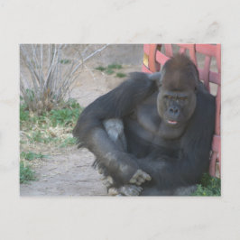 Entspannender Gorilla Postkarte