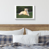 Entspannender Hund Leinwanddruck (Insitu (Schlafzimmer))
