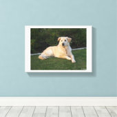 Entspannender Hund Leinwanddruck (Insitu (Holzboden))
