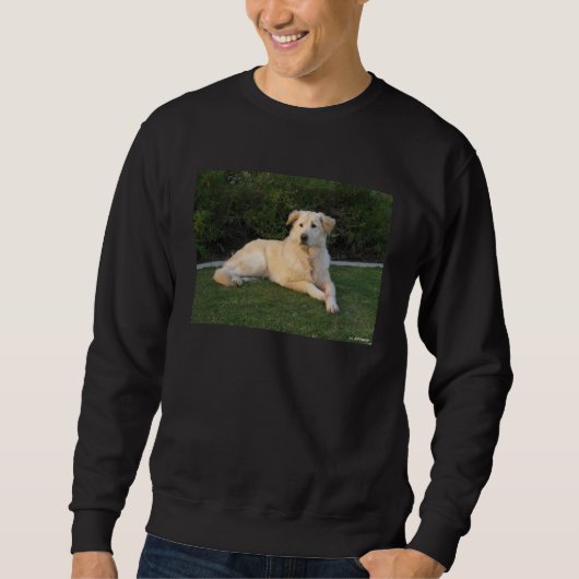 Entspannender Hund Sweatshirt (Vorderseite)