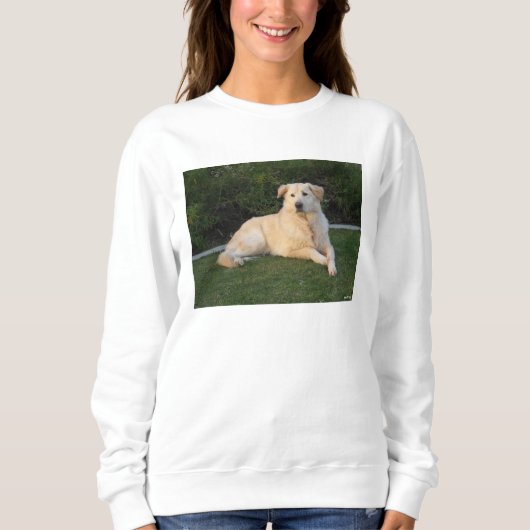Entspannender Hund Sweatshirt (Vorderseite)