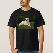 Entspannender Hund