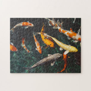 Entspannender Orange- und Weißer Koi-Fischteich Puzzle