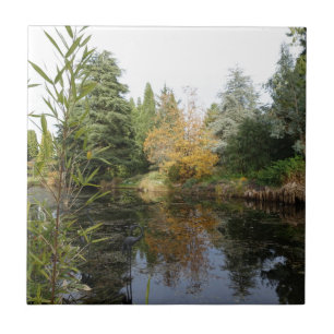 Entspannendes Gartenszene-Bild, schöne Bäume... Fliese