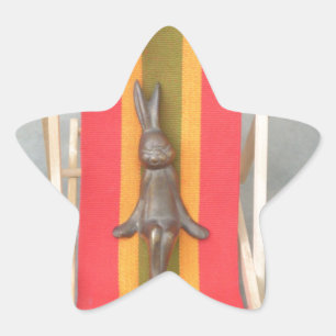 Entspannendes Kaninchen Vektor Kunstwerk Druck Des Stern-Aufkleber