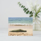 Entspannendes Mönch-Siegel Postkarte (Stehend Vorderseite)