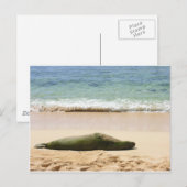 Entspannendes Mönch-Siegel Postkarte (Vorne/Hinten)