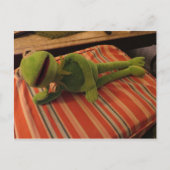 Entspannfrosch Postkarte (Vorderseite)