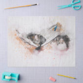 Entspannpapier für Katzen Seidenpapier (Basteln)