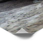 Entspannte Bengalische Tigerfotografie Poster (Ecke)