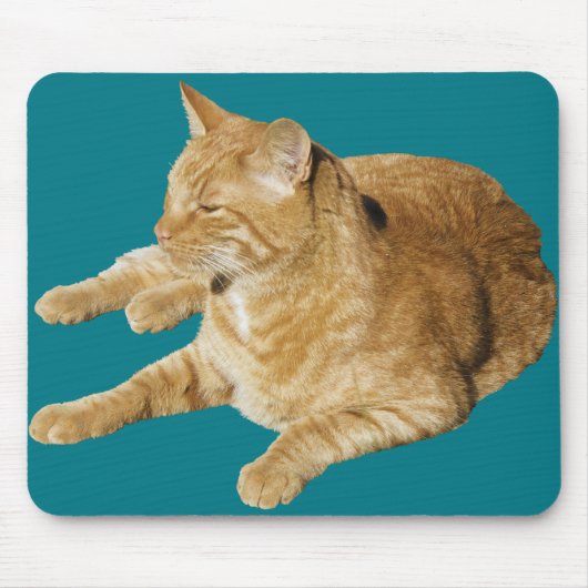 Entspannte Katze Mousepad (Vorne)