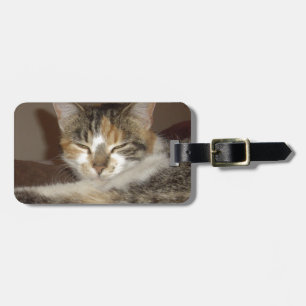 Entspannte Miezekatze Gepäckanhänger