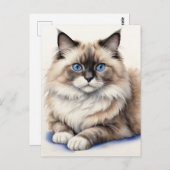 Entspannte Ragdoll Katze Illustration Gemütliches  Postkarte (Vorne/Hinten)