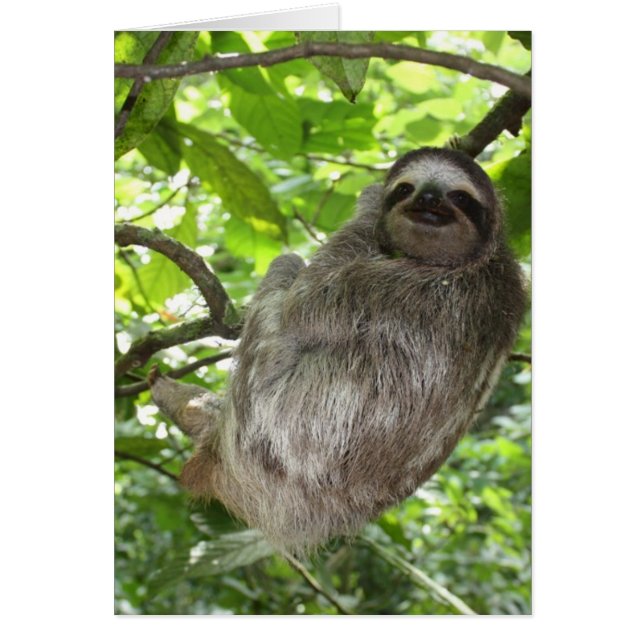 Entspannte Schlucht in der Natur (Vorne)