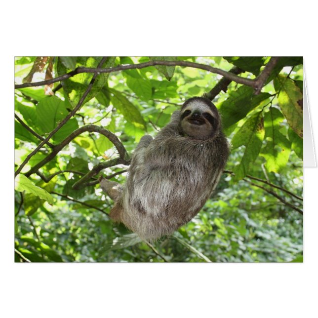 Entspannte Schlucht in der Natur (Vorderseite (Horizontal))