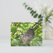 Entspannte Schlucht in der Natur Postkarte (Stehend Vorderseite)