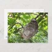 Entspannte Schlucht in der Natur Postkarte (Vorne/Hinten)