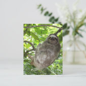 Entspannte Schlucht in der Natur Postkarte (Stehend Vorderseite)